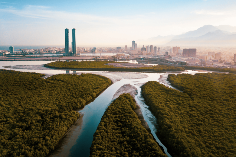 ras al khaimah 1