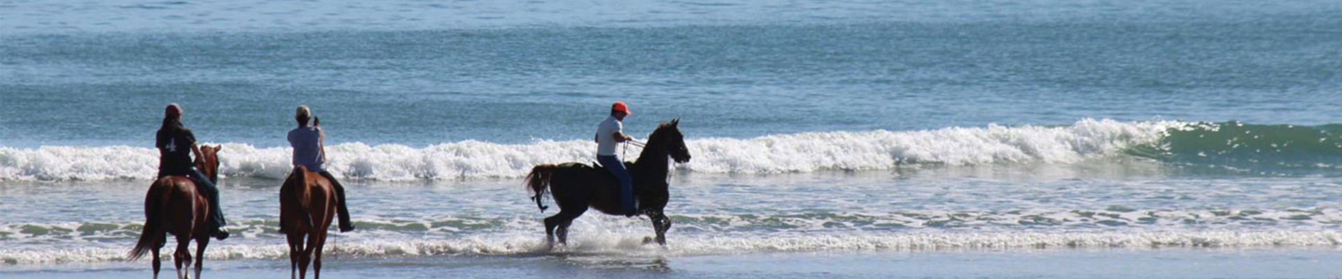 5* Strandloper Ocean Boutique Hotel - Paternoster Package (2 nights)