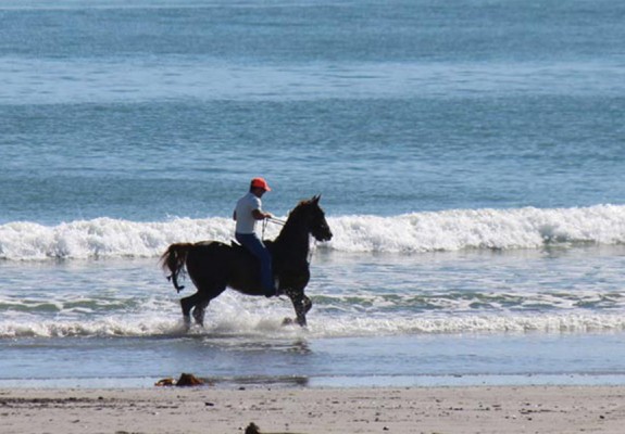 5* Strandloper Ocean Boutique Hotel - Paternoster Package (2 nights)