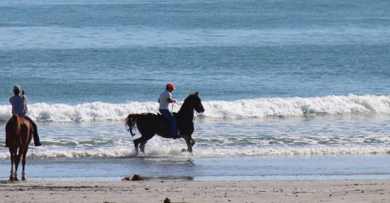 5* Strandloper Ocean Boutique Hotel - Paternoster Package (2 nights)