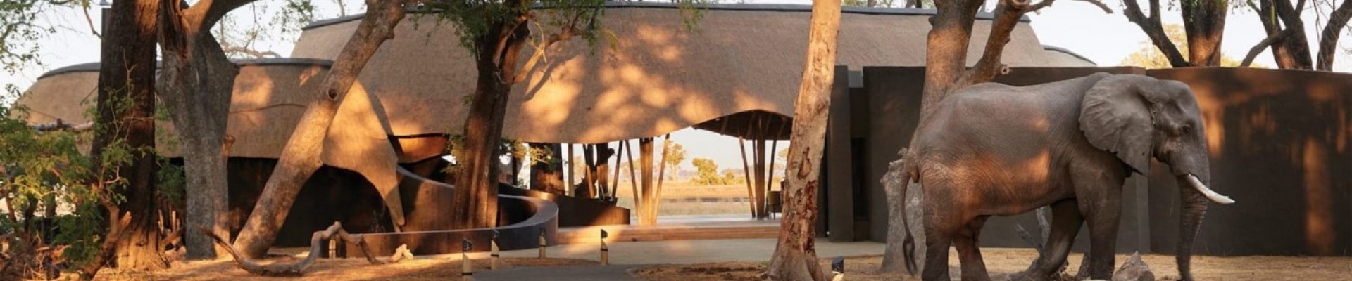 5* Belmond Eagle Island Lodge - Okavango Delta Package (3 Nights)