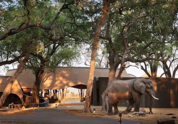 5* Belmond Eagle Island Lodge - Okavango Delta Package (3 Nights)