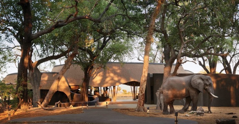 5* Belmond Eagle Island Lodge - Okavango Delta Package (3 Nights)