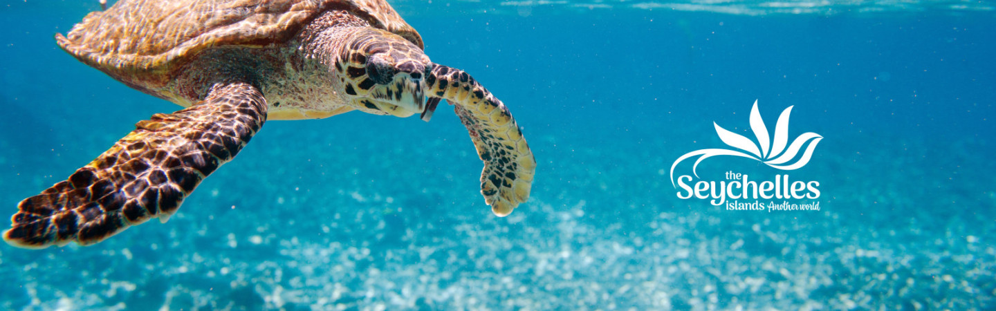 Seychelles Travel