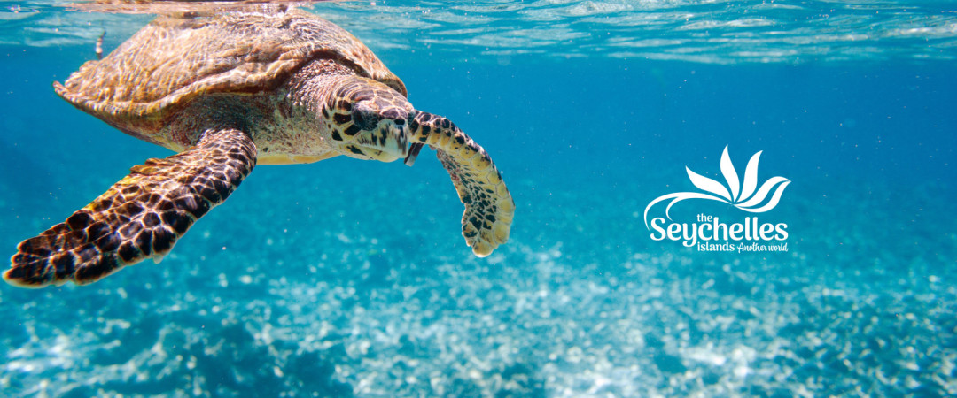 Seychelles Travel