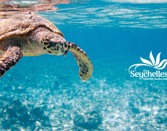 Seychelles Travel