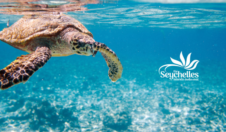 Seychelles Travel