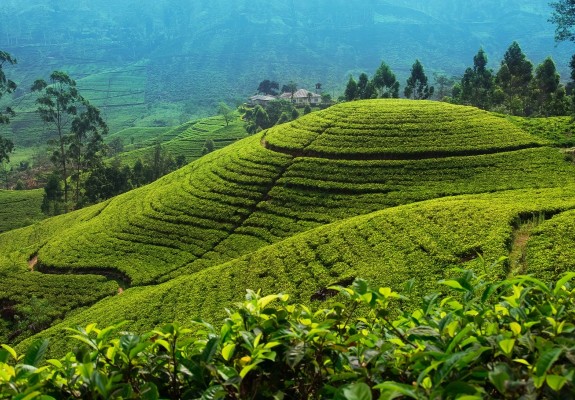 3* Classic Sri Lanka Package (7 Nights)