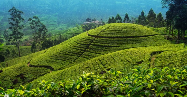 3* Classic Sri Lanka Package (7 Nights)