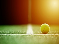 soft focus of tennis ball on tennis grass court with sunlight iStock 849071400