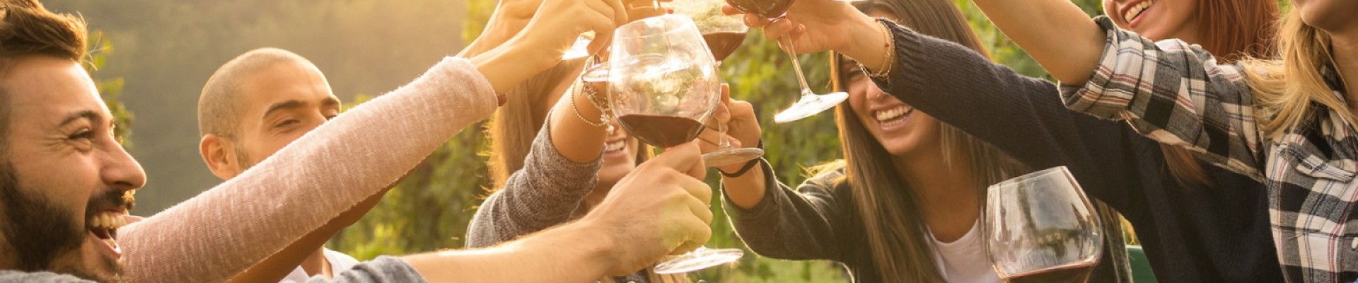 Wacky Wine Experience Flexible Private Trip - Breede River Valley (3 Days / 2 Nights)