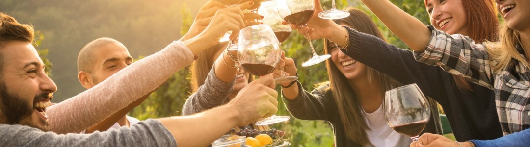 Wacky Wine Experience Flexible Private Trip - Breede River Valley (3 Days / 2 Nights)
