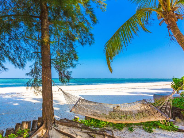 Hammock on the beach in Zanzibar