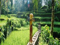 Young woman on green cascade rice field plantation at Tegalalang terrace. Bali Indonesia Beautiful female model posing at rice terrace in Ubud iStock 1371791070 banner