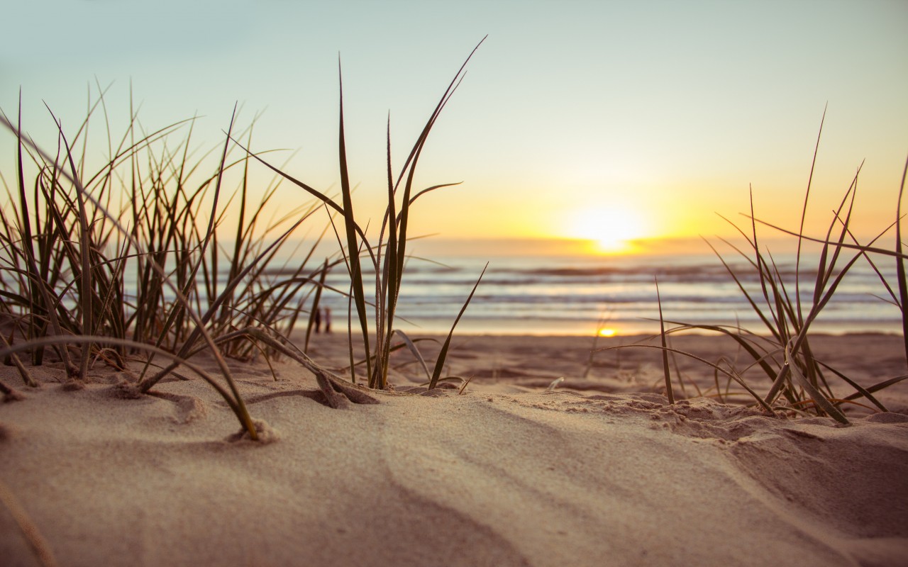 Beach at sunset