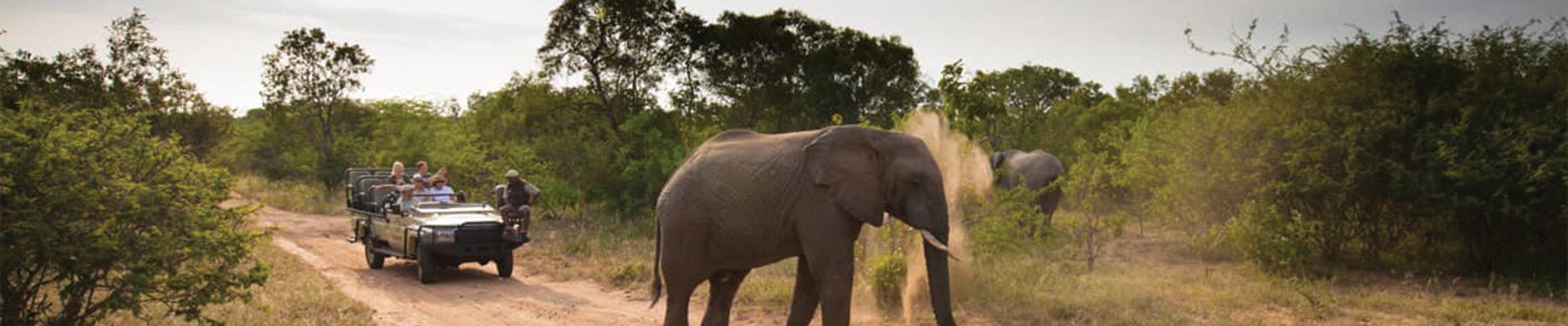 5* Kapama Private Game Reserve Southern Camp - Hoedspruit Package (2 Nights)
