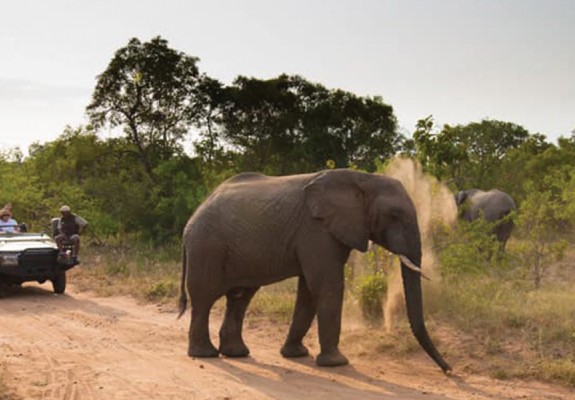 5* Kapama Private Game Reserve Southern Camp - Hoedspruit Package (2 Nights)