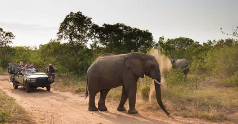 5* Kapama Private Game Reserve Southern Camp - Hoedspruit Package (2 Nights)