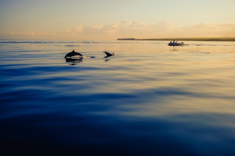 Mauritius