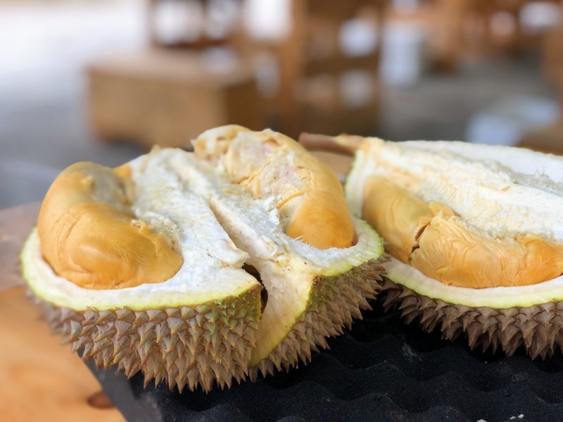 Durian fruit