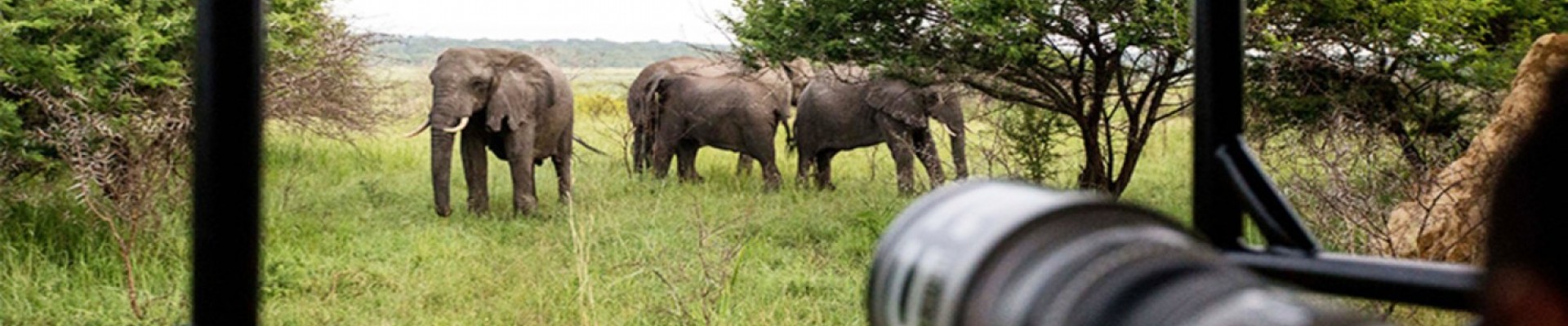 Royal Thonga Safari Lodge -Tembe Elephant Park - Kwa-Zulu Natal Package (2 nights)