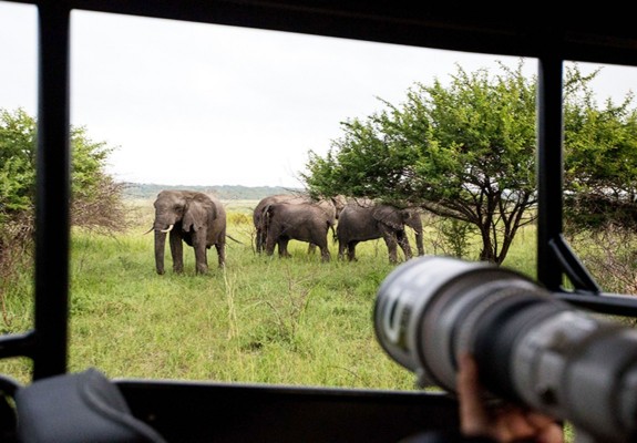 Royal Thonga Safari Lodge -Tembe Elephant Park - Kwa-Zulu Natal Package (2 nights)