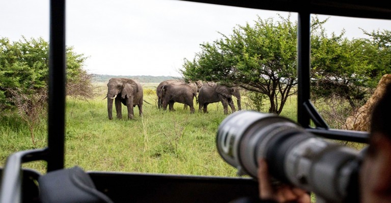 Royal Thonga Safari Lodge -Tembe Elephant Park - Kwa-Zulu Natal Package (2 nights)