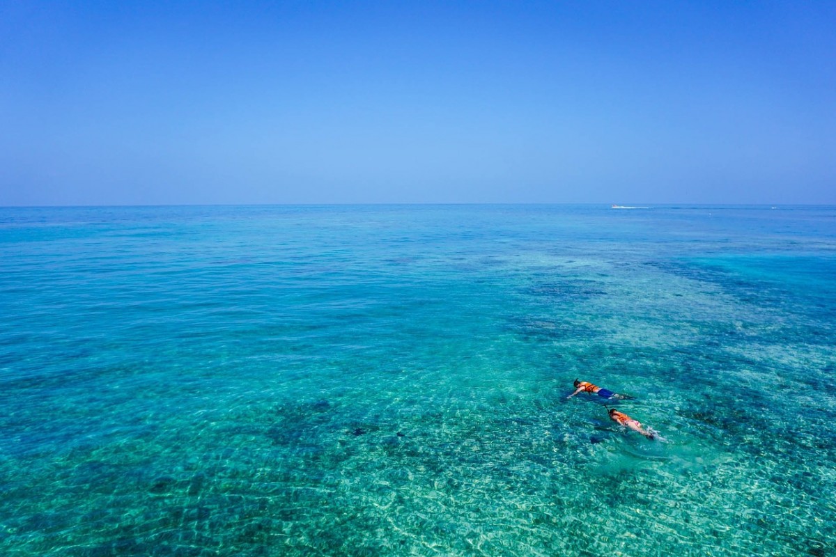 Snorkelling in the ocean