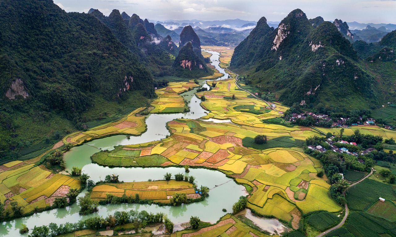 Vietnam - rice fields and mountain view